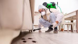 Best Residential Pest Control  in Edgewood, NM